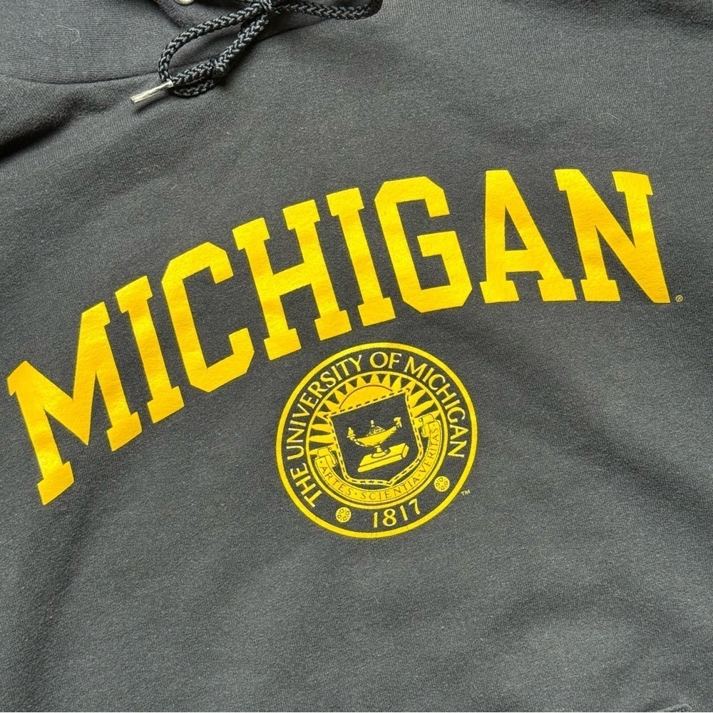 Vintage Champion Michigan Wolverines Men’s Pullover Hoodie Size Medium - Picture 2 of 5